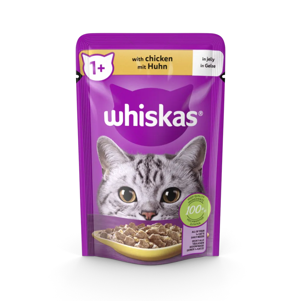 Nourriture pour chat