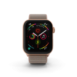 Apple Watch Series 4 Or
