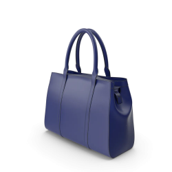 Blue Women's Handbag
